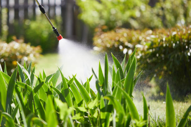 Tamper-Resistant Bait Stations for Rodents in Lompoc