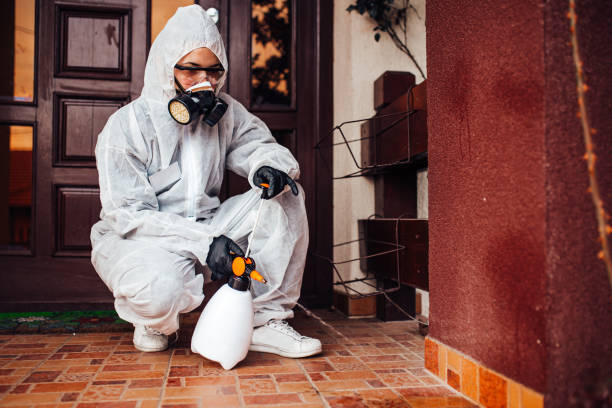Attic and Crawl Space Rodent Treatment in Lompoc